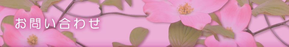 お問い合わせ