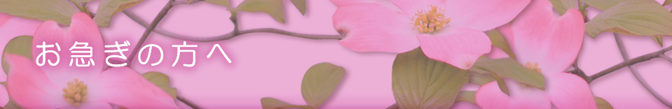 お急ぎの方へ